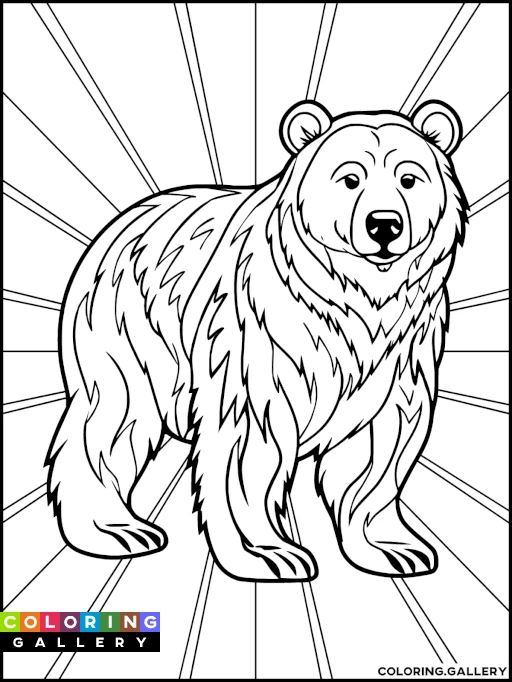 Bear