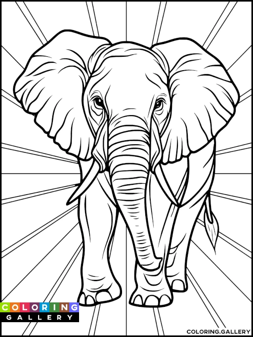 Elephant