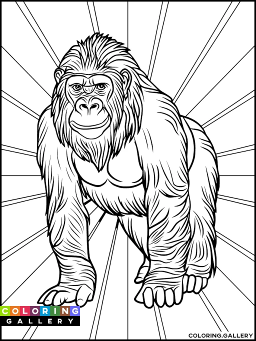 Gorilla