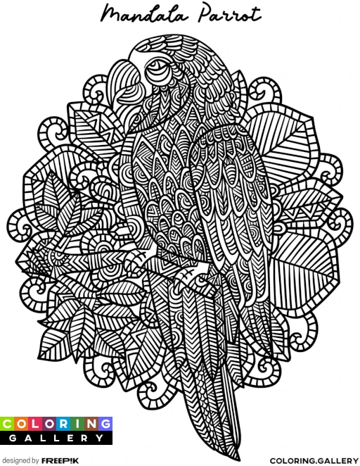 Mandala Parrot