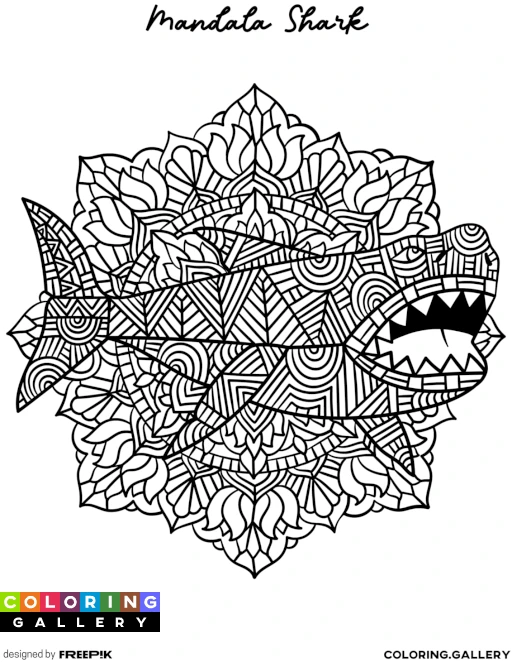 Mandala Shark