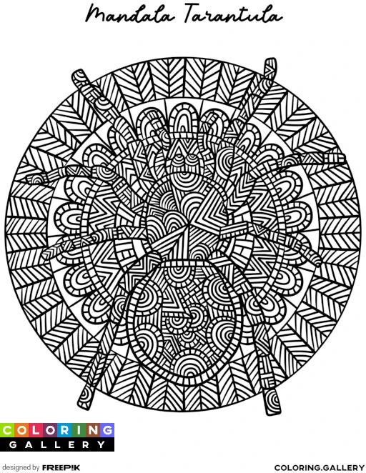 Mandala Tarantula